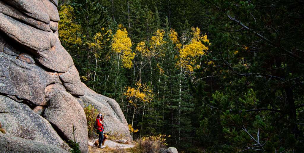 Owner of Page Writing Pages, a content marketing business, hiking with her dog